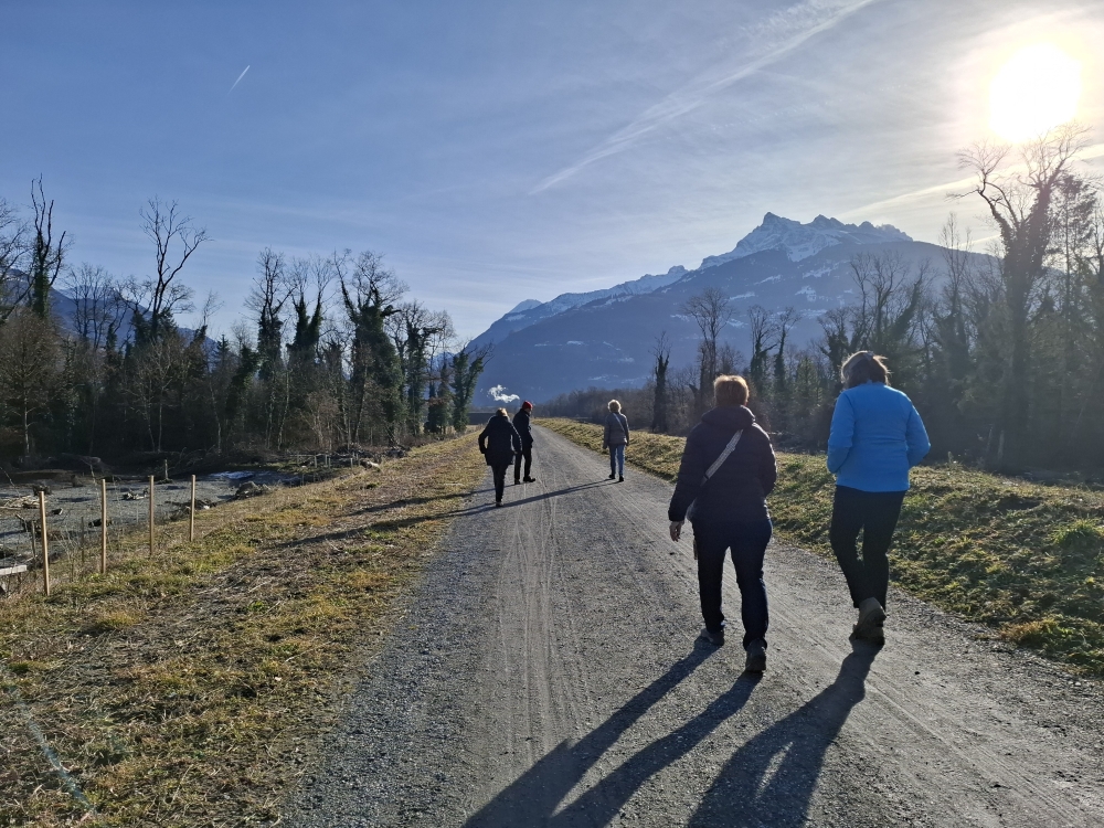 Balade à Gogo - Balade dans le Lavaux :: Commune de Collombey-Muraz :: Valais :: Suisse